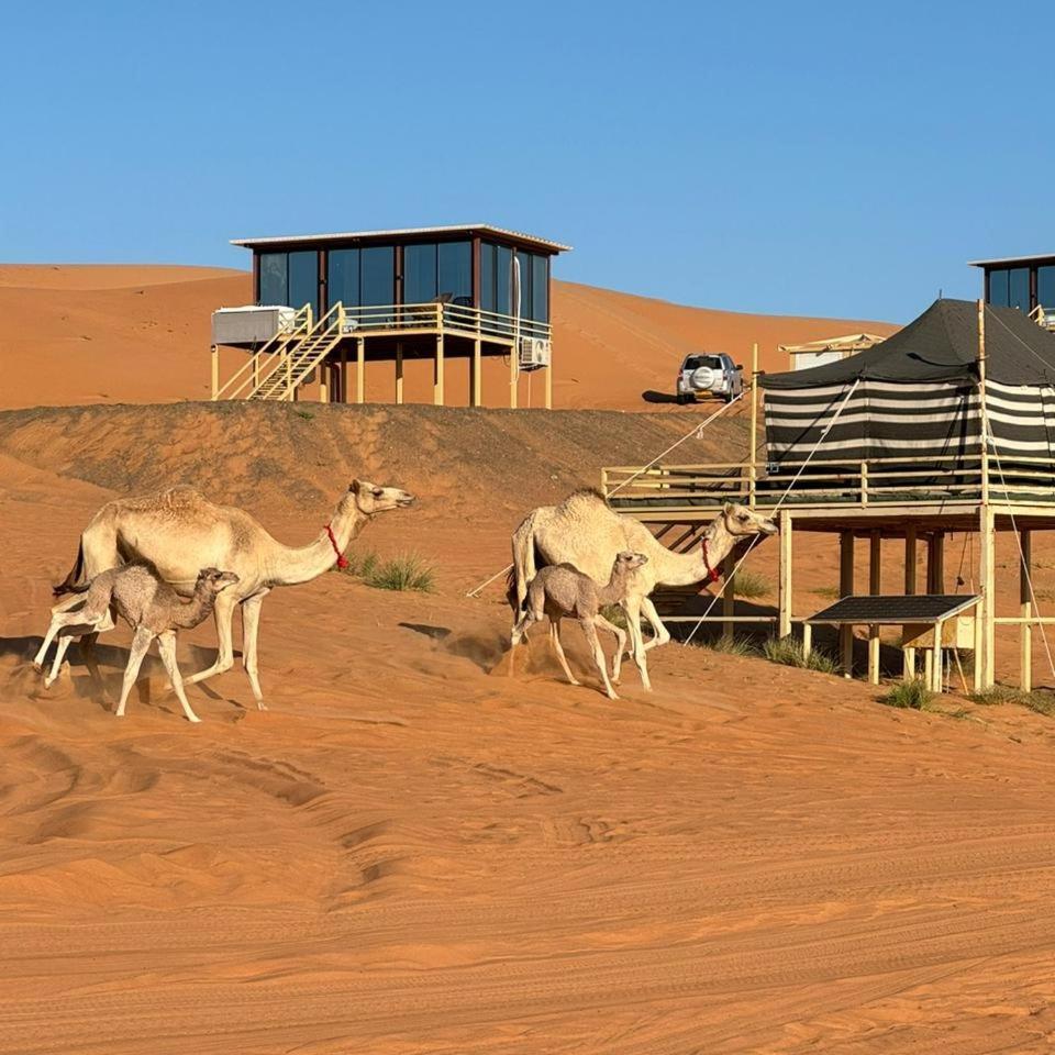 Oman Desert Private Camp Shāhiq Extérieur photo